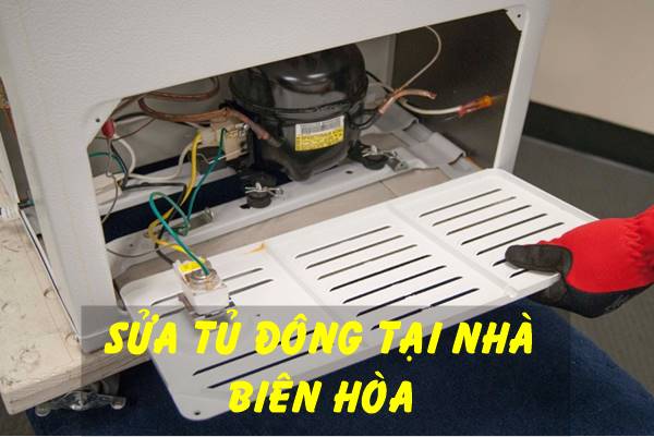 Sửa tủ đông Biên Hòa