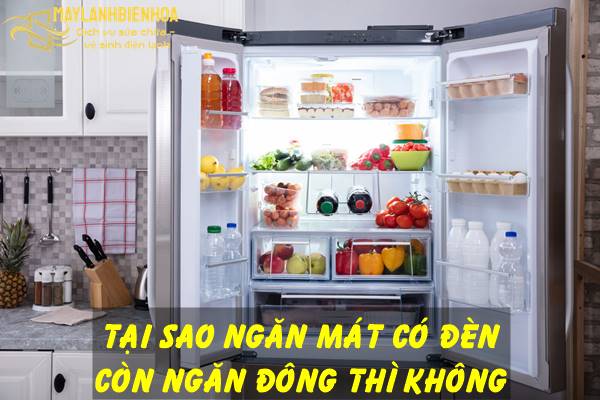 Tại sao ngăn mát tủ lạnh có đèn còn ngăn đá thì không?