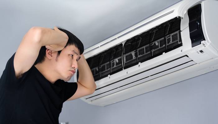 Có tiếng kêu lách tách hoặc tiếng xào xạc bên trong Có tiếng kêu lách tách hoặc tiếng xào xạc bên trong