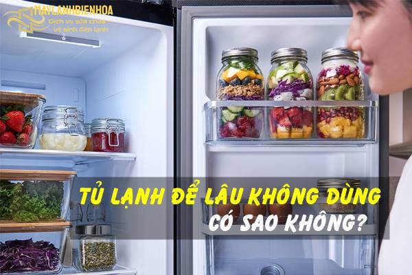 Tủ lạnh để lâu không dùng có sao không?