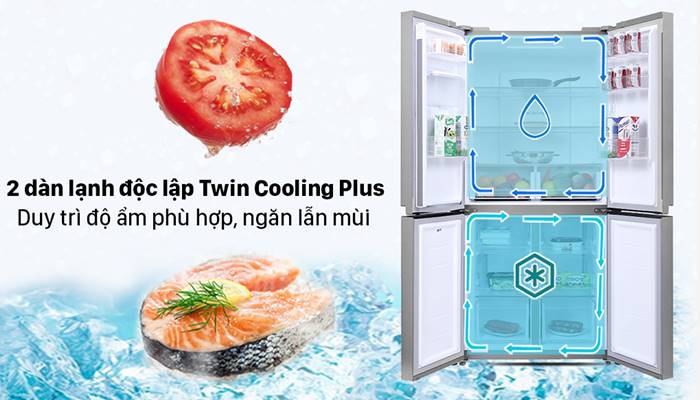 Có nhiều ngăn đựng thực phẩm riêng biệt Có nhiều ngăn đựng thực phẩm riêng biệt